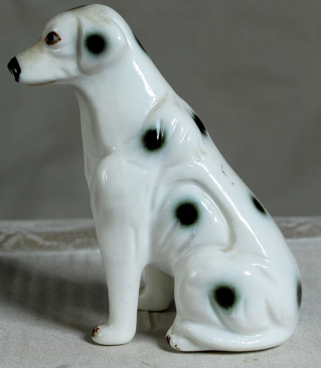 Dalmatian sitting