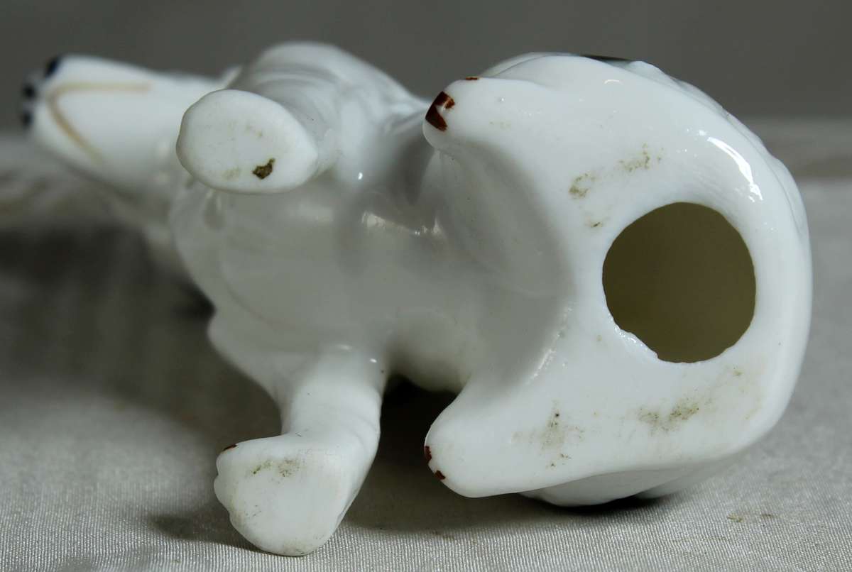 Dalmatian sitting