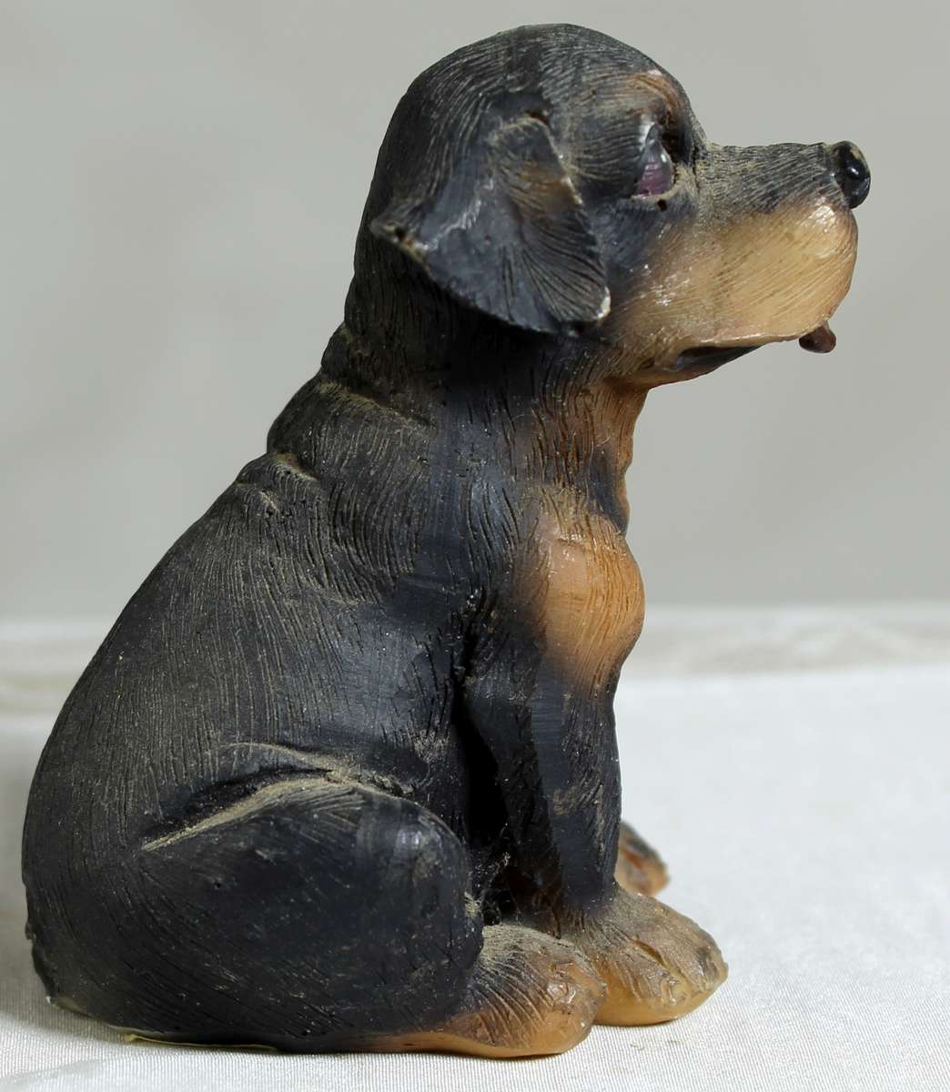 Rottweiler Puppy  Sitting