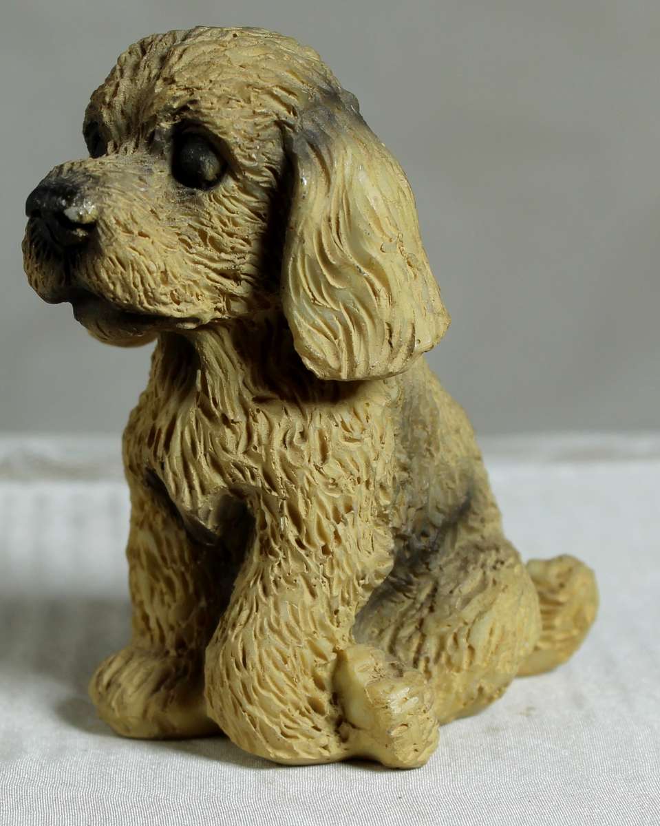 Cocker Spaniel puppy sitting