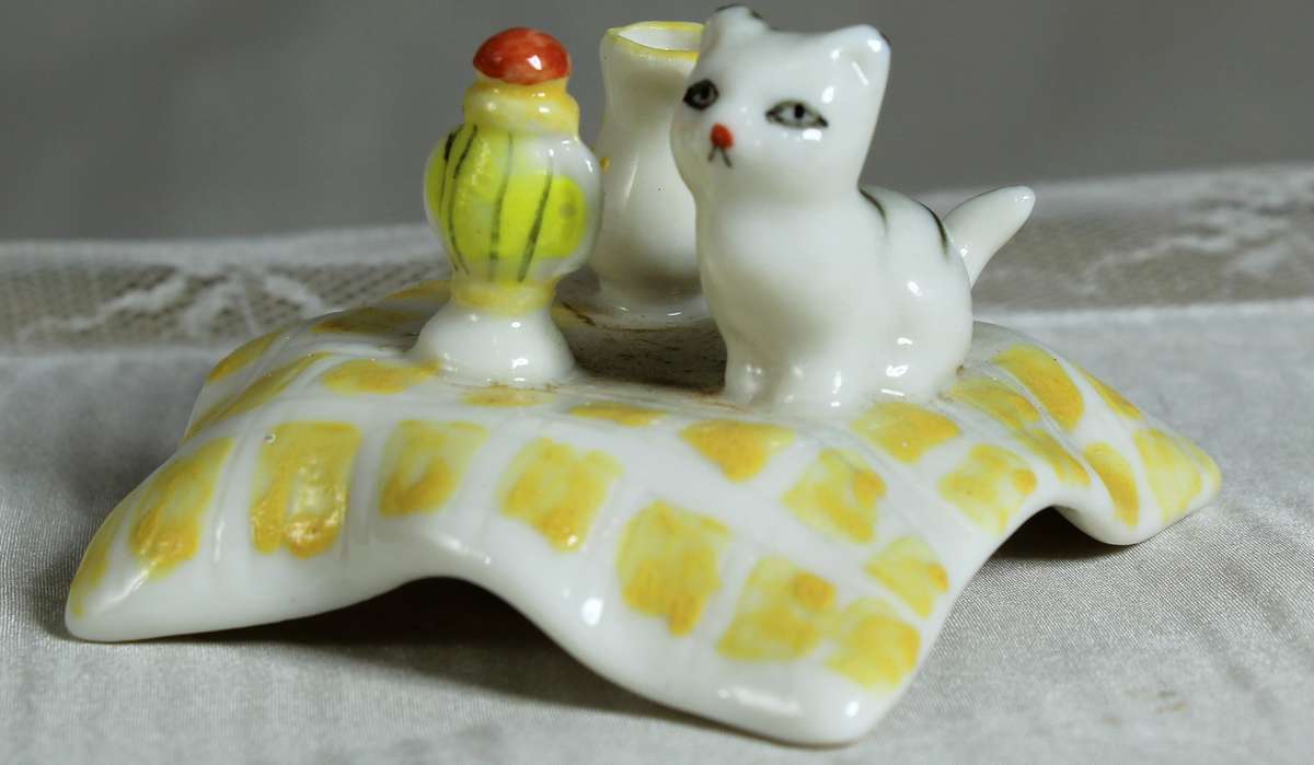 Cat sitting on Picnic Blanket