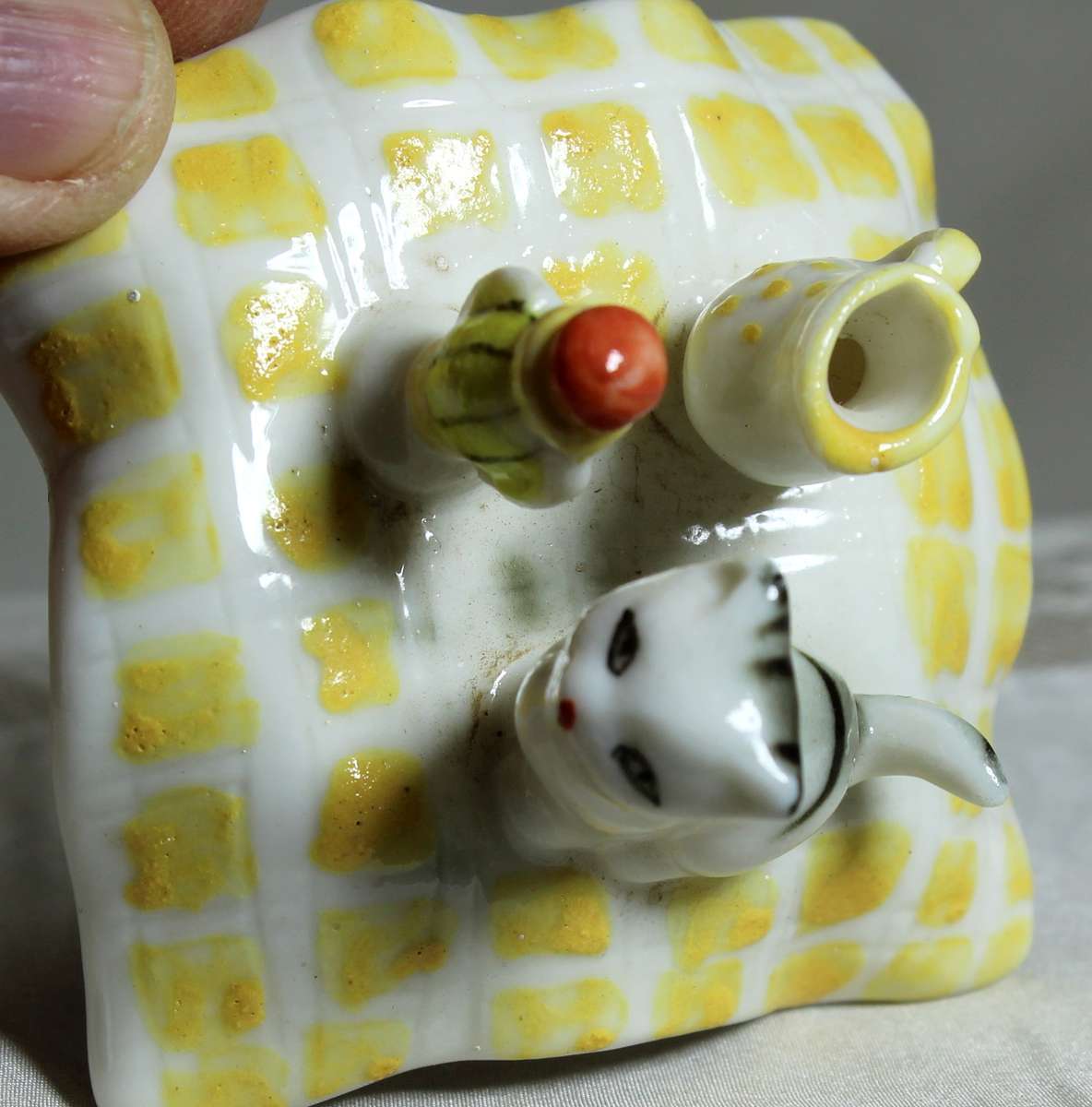 Cat sitting on Picnic Blanket