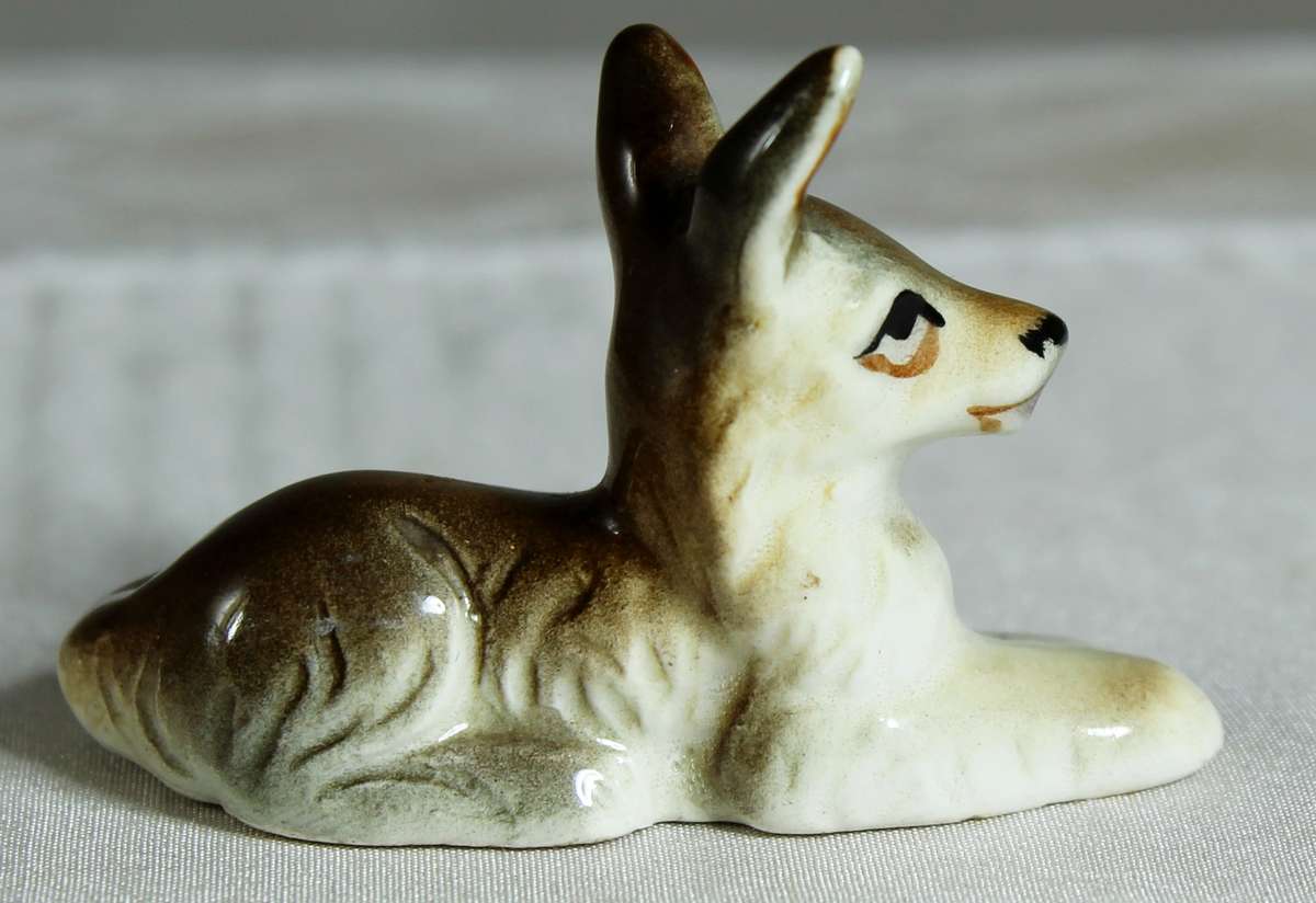 Miniature doe laying down