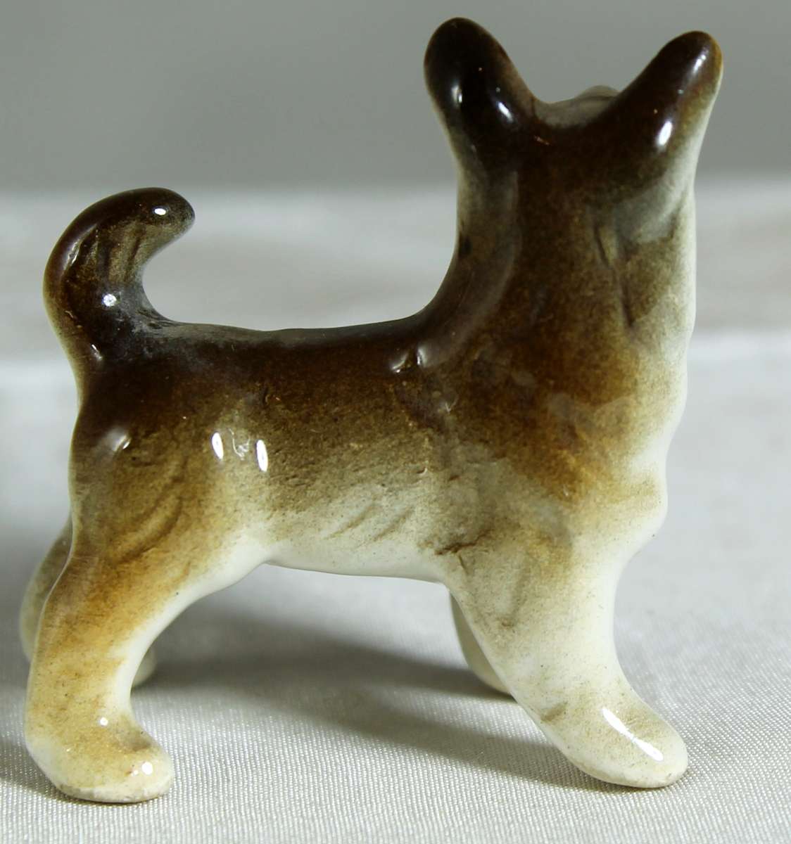 Miniature puppy