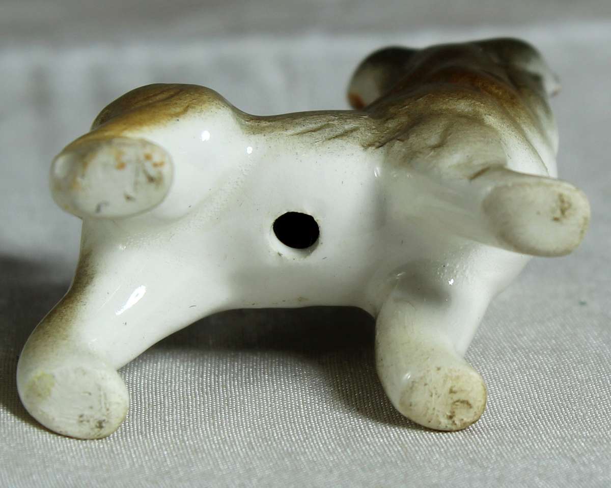 Miniature puppy