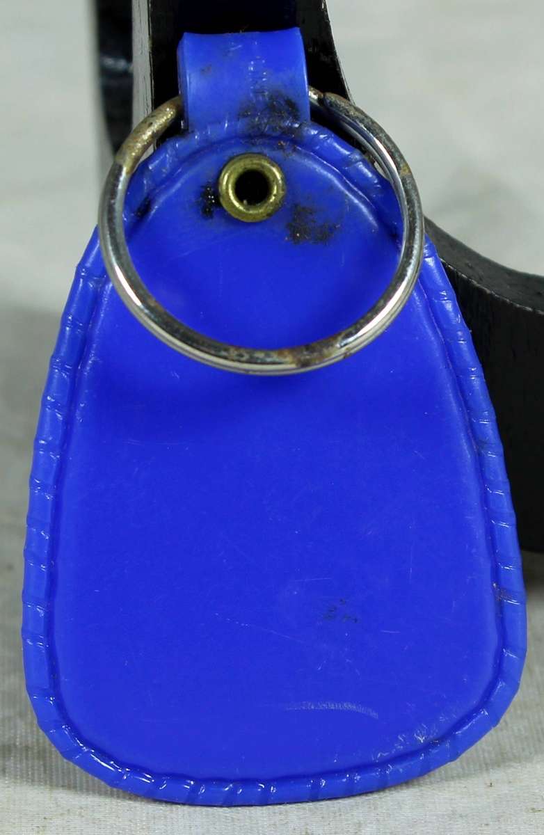 Collectible keyring - Pioneer Volkswagen