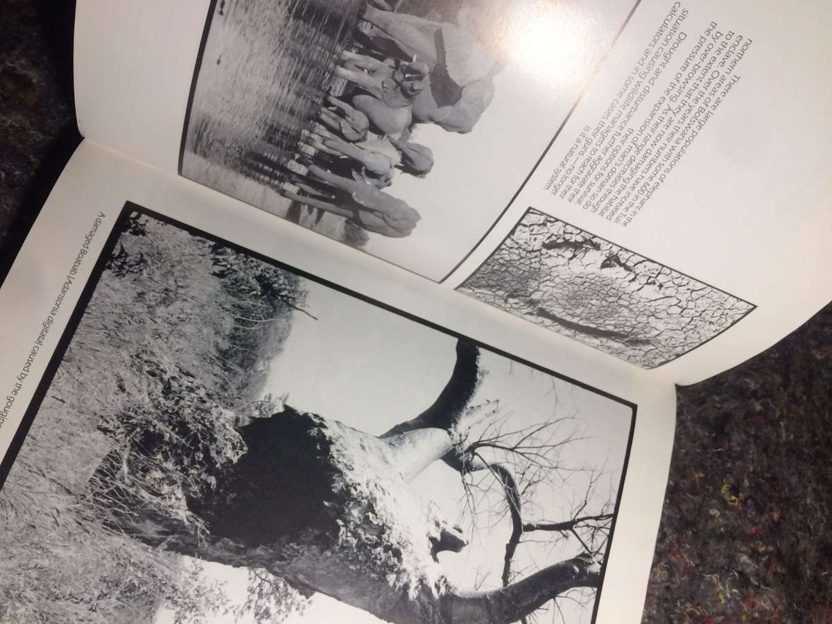 Twilight of the Giants - Clive Walker (1st Edition Hardcover)