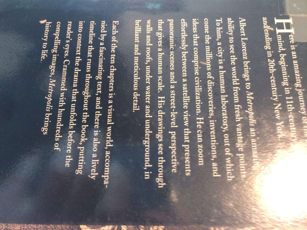 Metropolis: Ten Cities, Ten Centuries - Albert Lorenz with Joy Schleh (Large Format Hardcover)