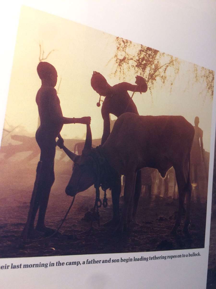 Warriors of the White Nile: The Dinka - John Ryle (1982 1st Edition Hardcover)