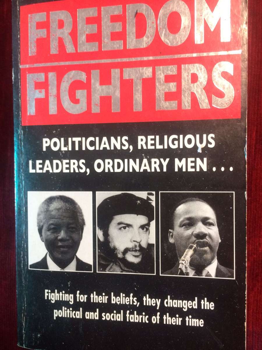 Freedom Fighters: Politicians, Religious Leaders, Ordinary Men - Anne Williams & Vivian Head