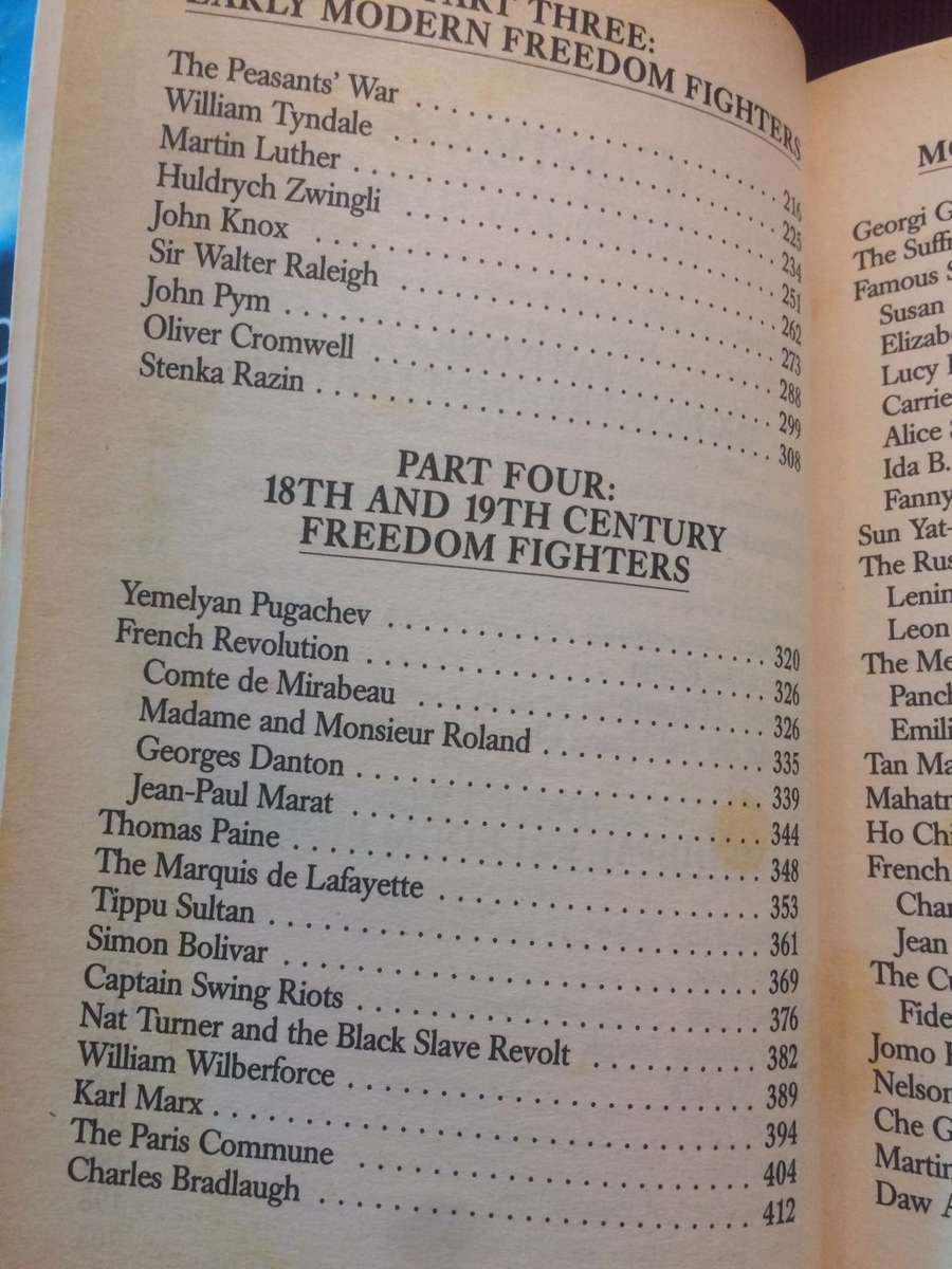 Freedom Fighters: Politicians, Religious Leaders, Ordinary Men - Anne Williams & Vivian Head