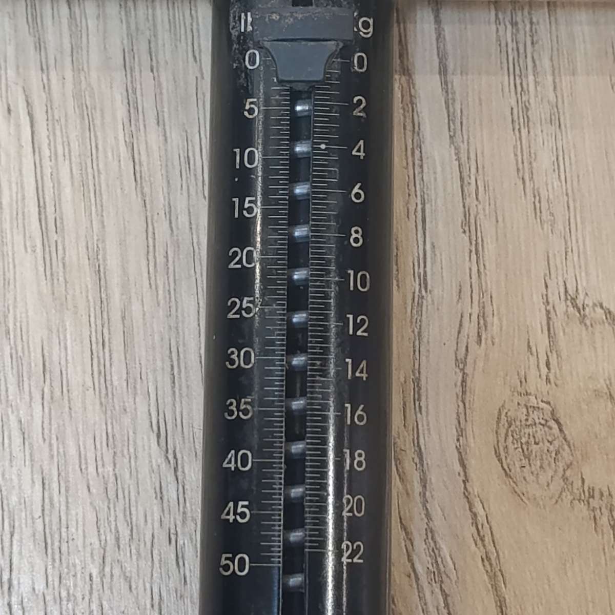 Bandit 22kg fish hanging scale