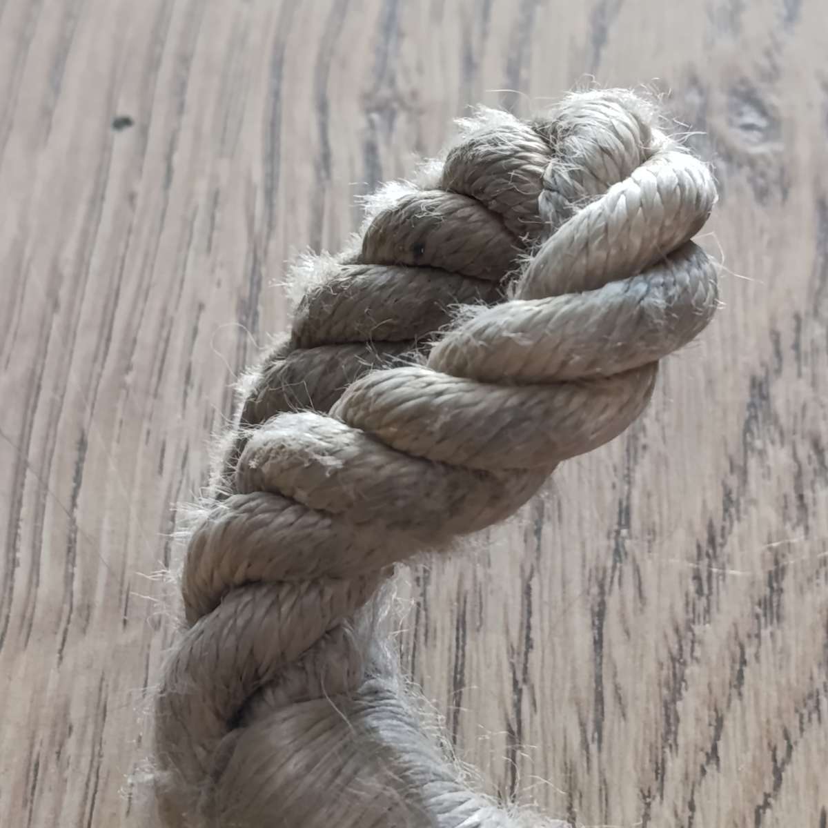 SADF toggle rope/tokkeltou