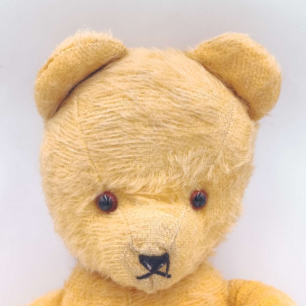 Beautiful vintage teddy bear
