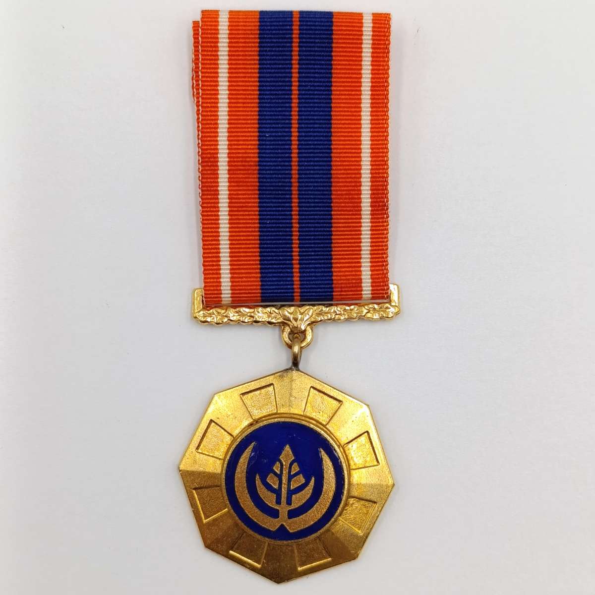 SADF Pro Patria medal - Swivel type - #13210