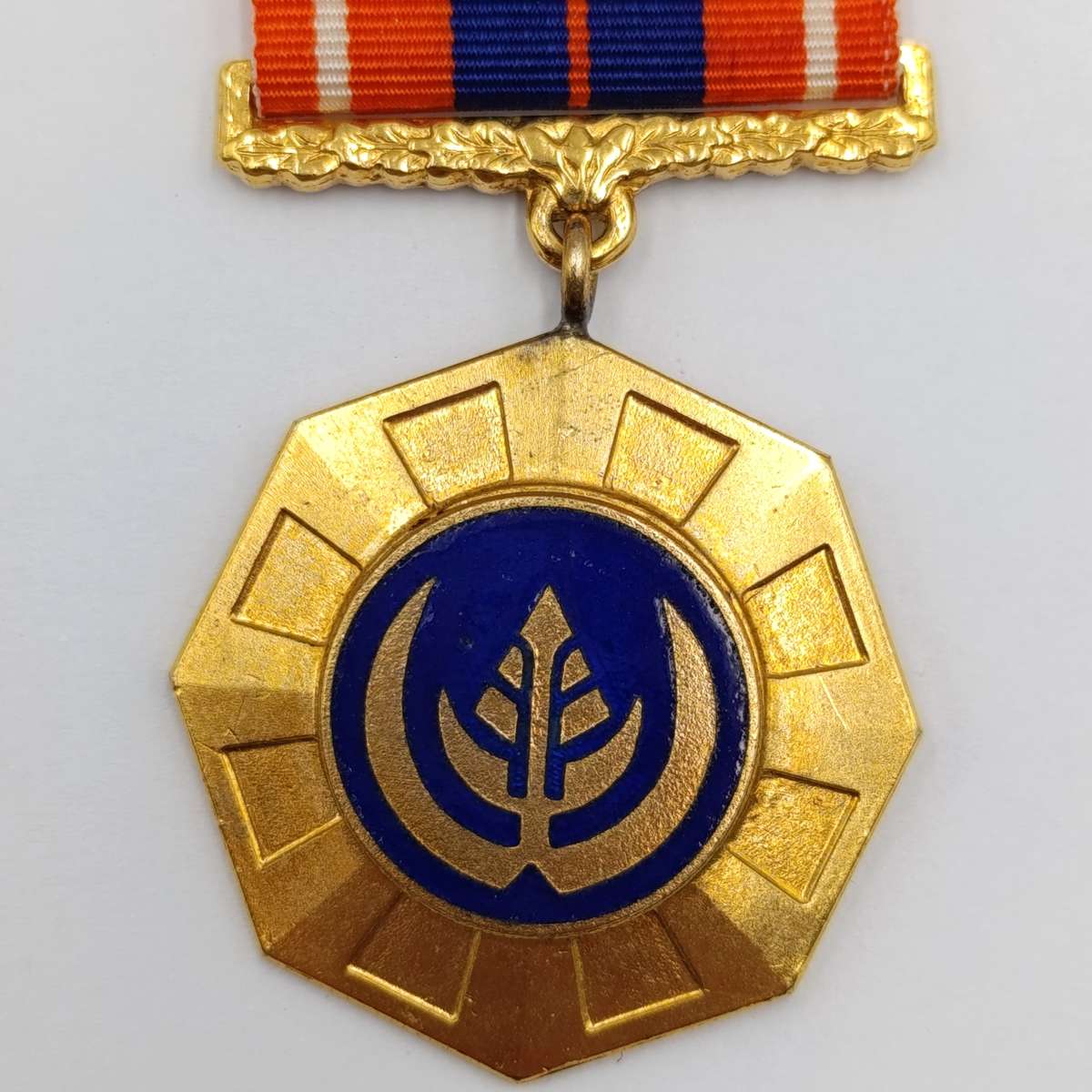 SADF Pro Patria medal - Swivel type - #13210