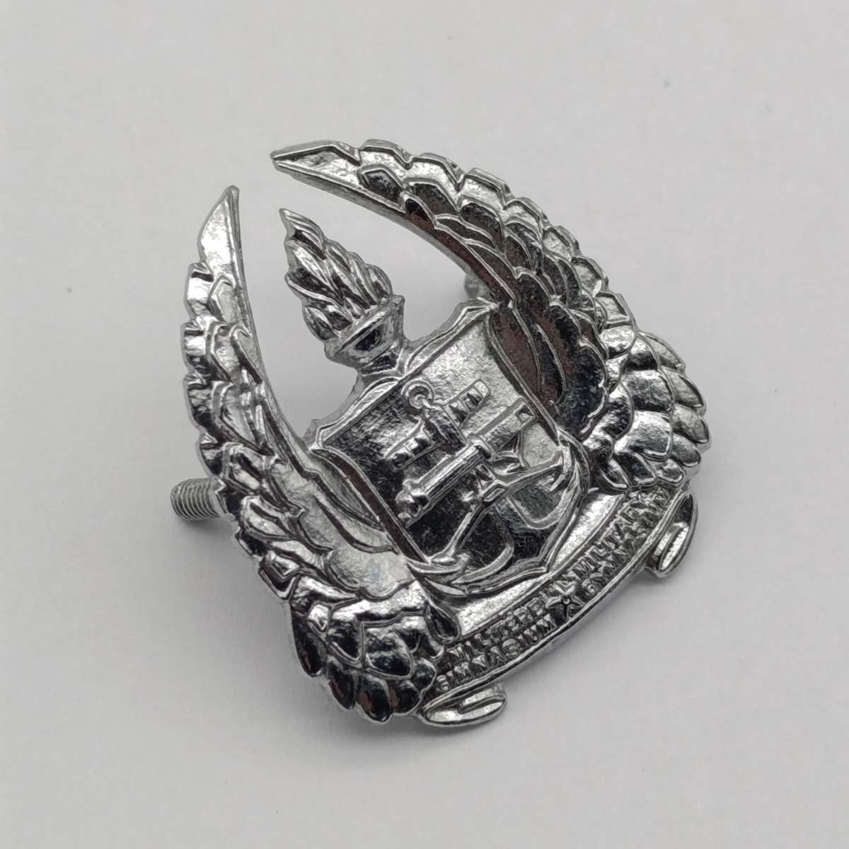 SADF Army Gymnasium beret badge