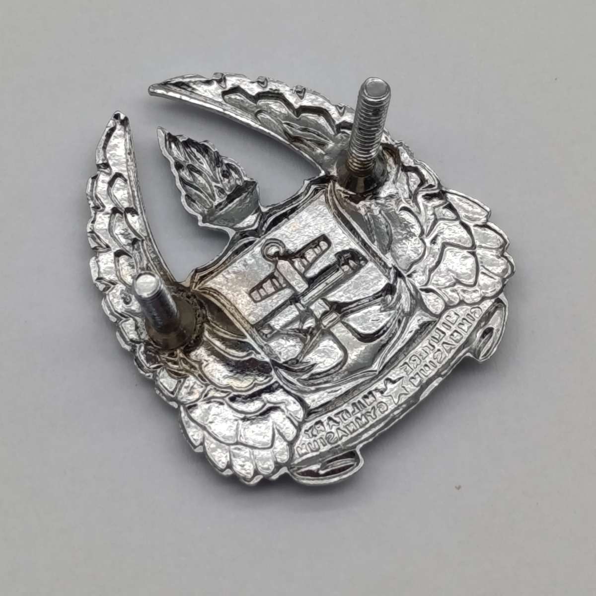 SADF Army Gymnasium beret badge