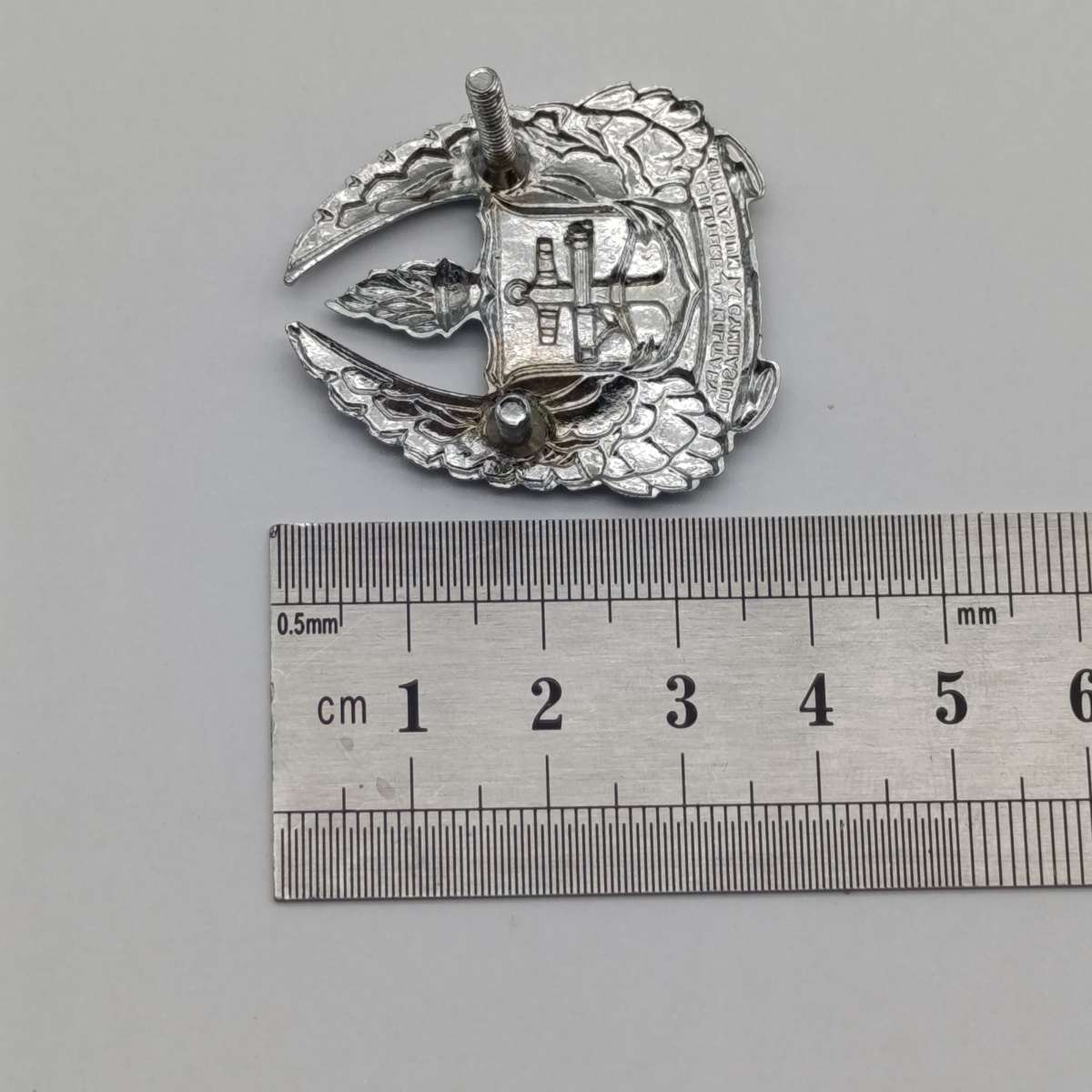 SADF Army Gymnasium beret badge