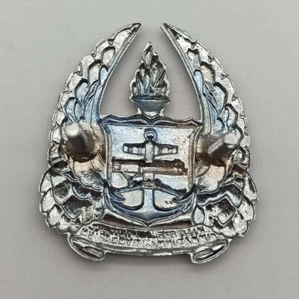 SADF Army Gymnasium beret badge