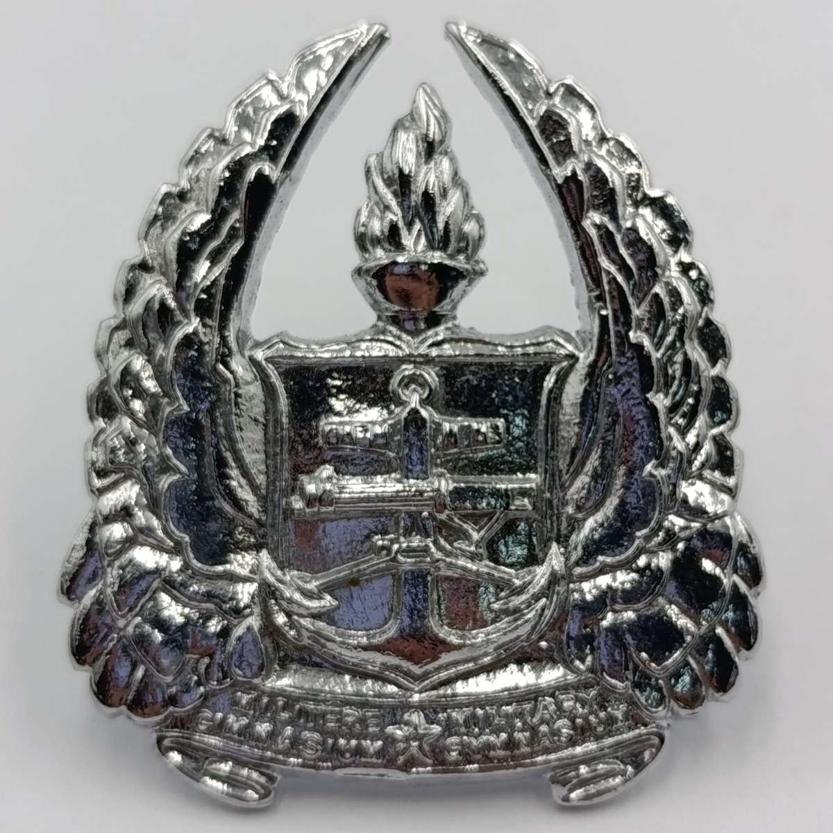 SADF Army Gymnasium beret badge