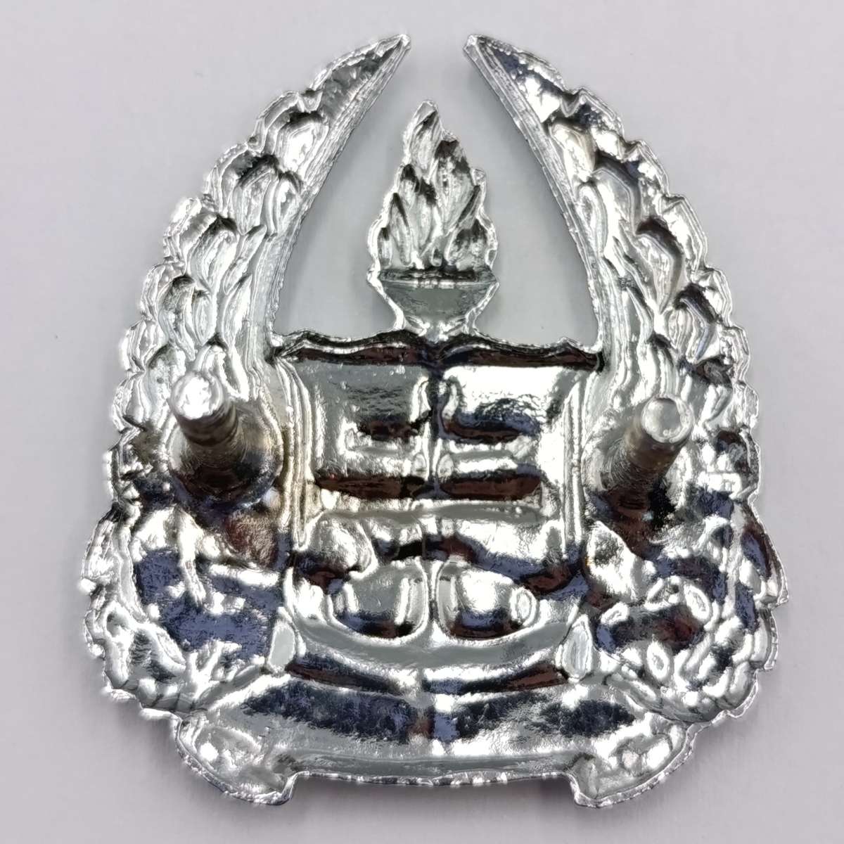 SADF Army Gymnasium beret badge