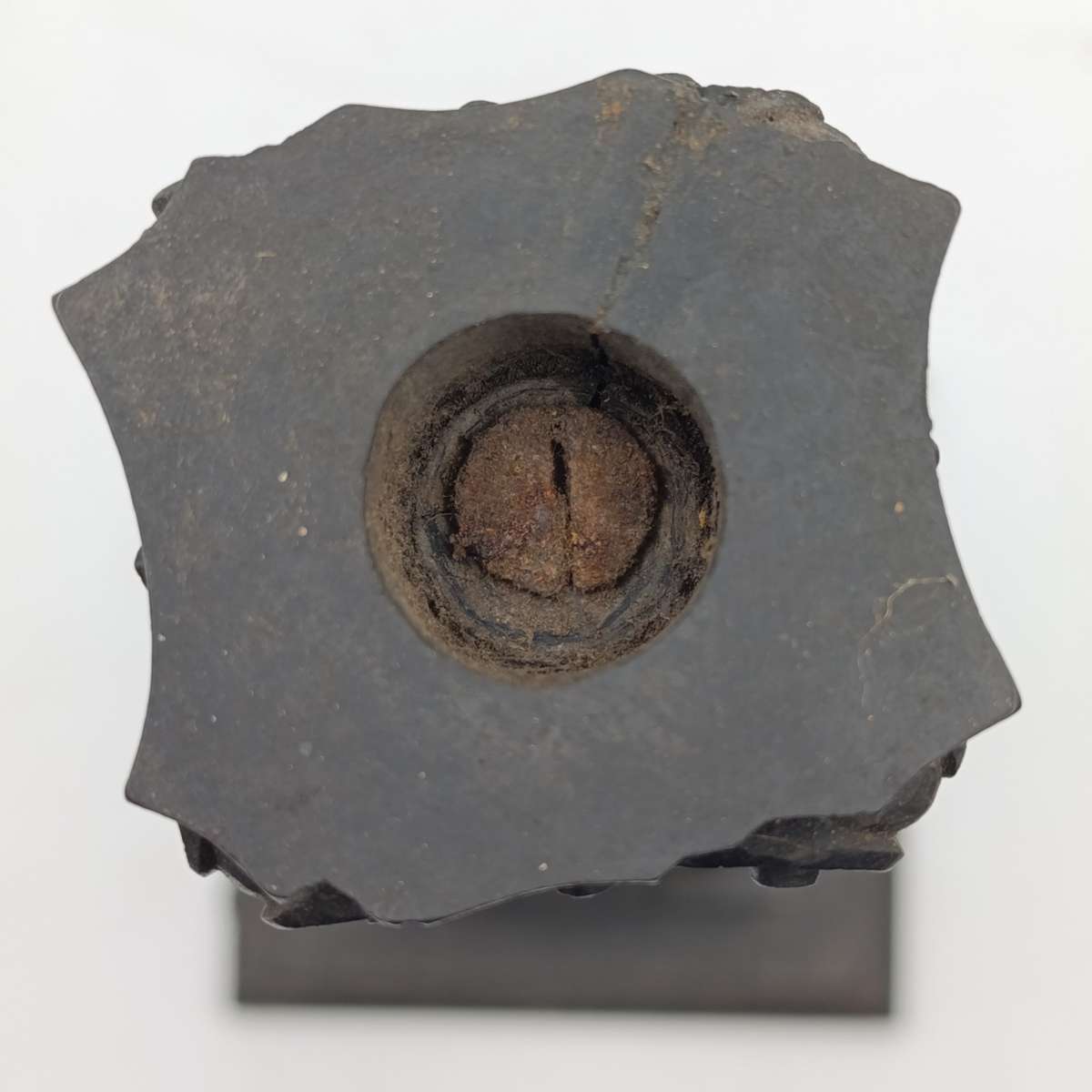 Boer War  POW Prisoner of war ebony candlestick inscribed Boer Camp Ceylon 1901