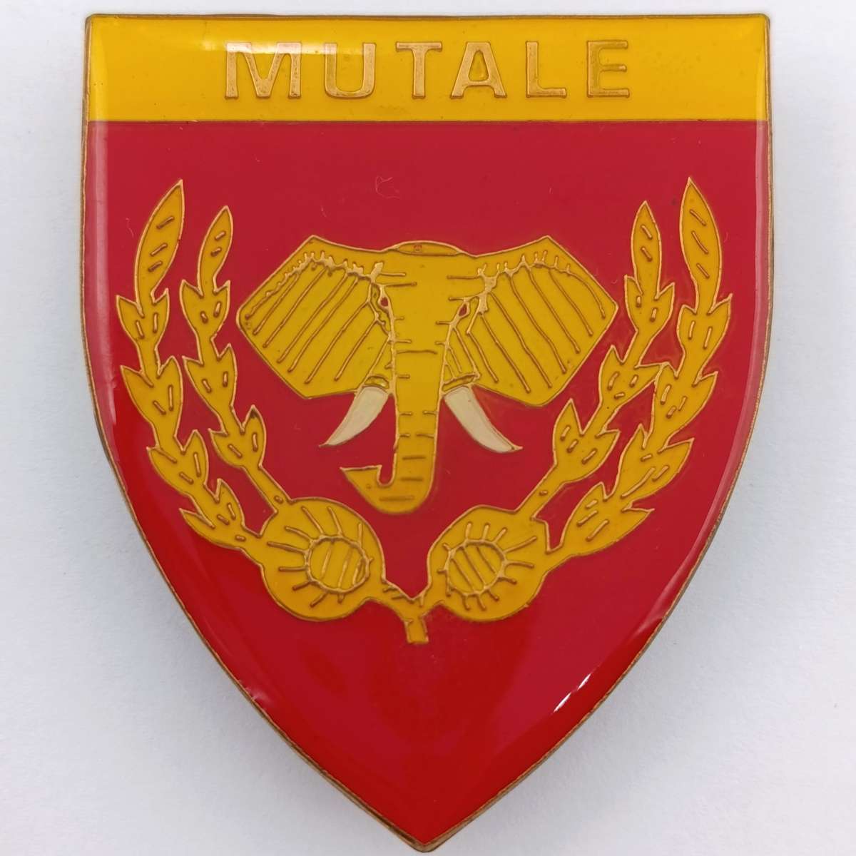 Venda Defence Force Mutale shoulder flash