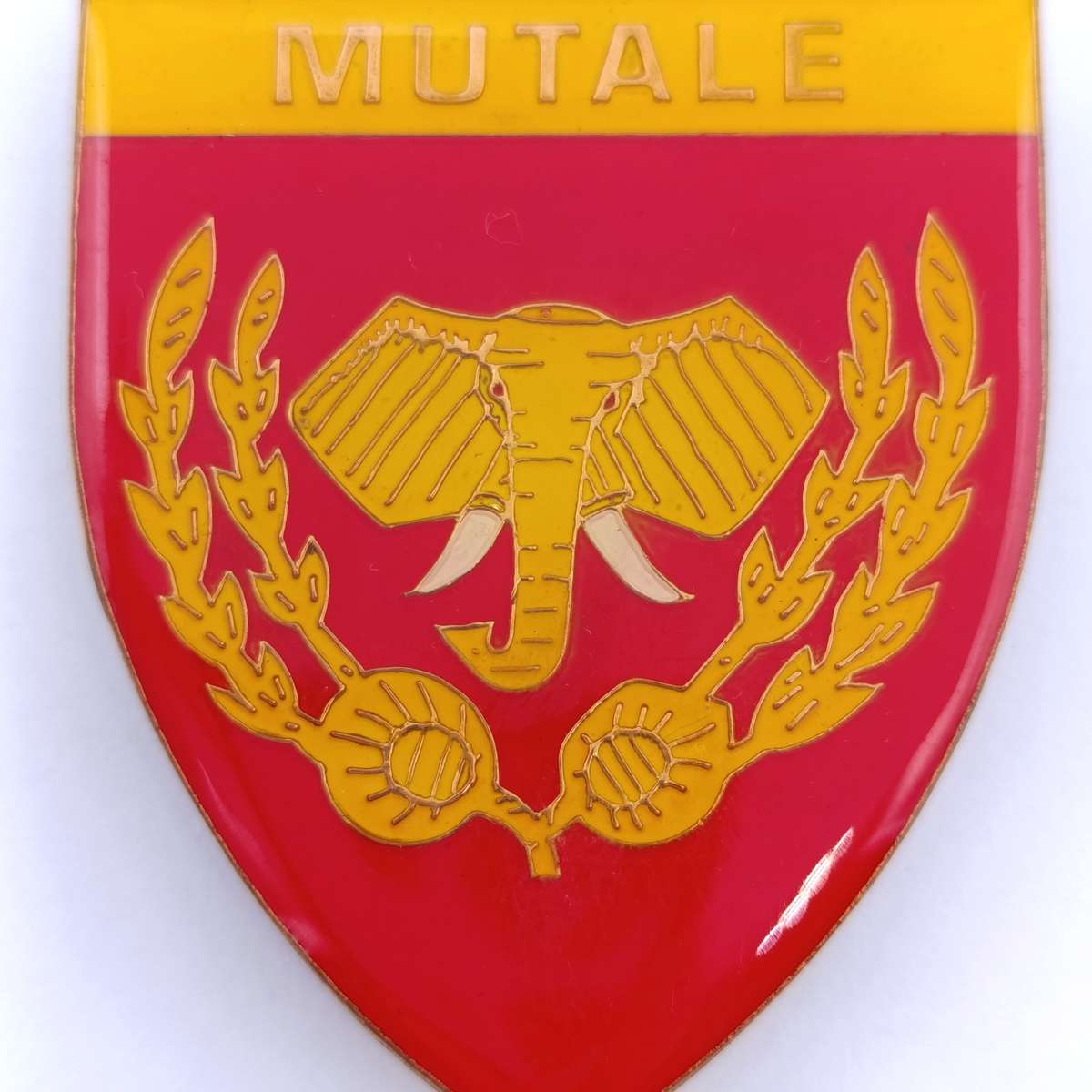 Venda Defence Force Mutale shoulder flash