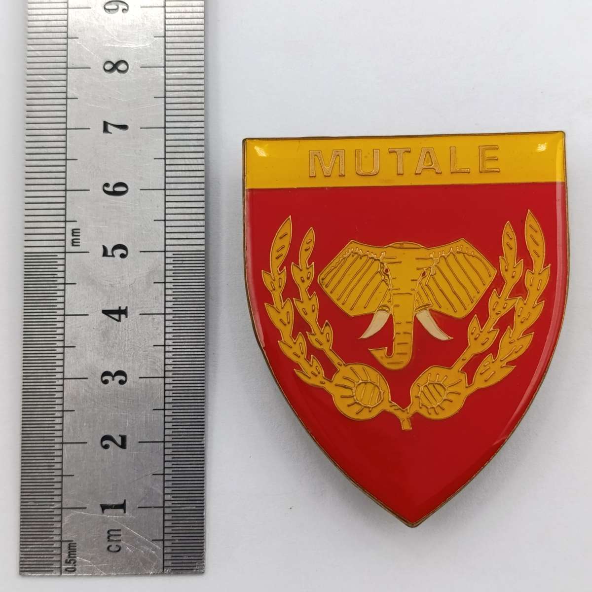 Venda Defence Force Mutale shoulder flash