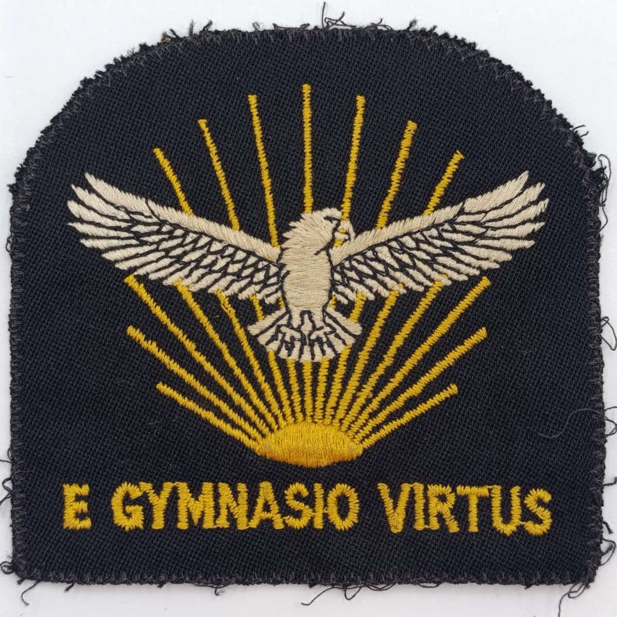 SA Air Force Gymnasium blazer badge