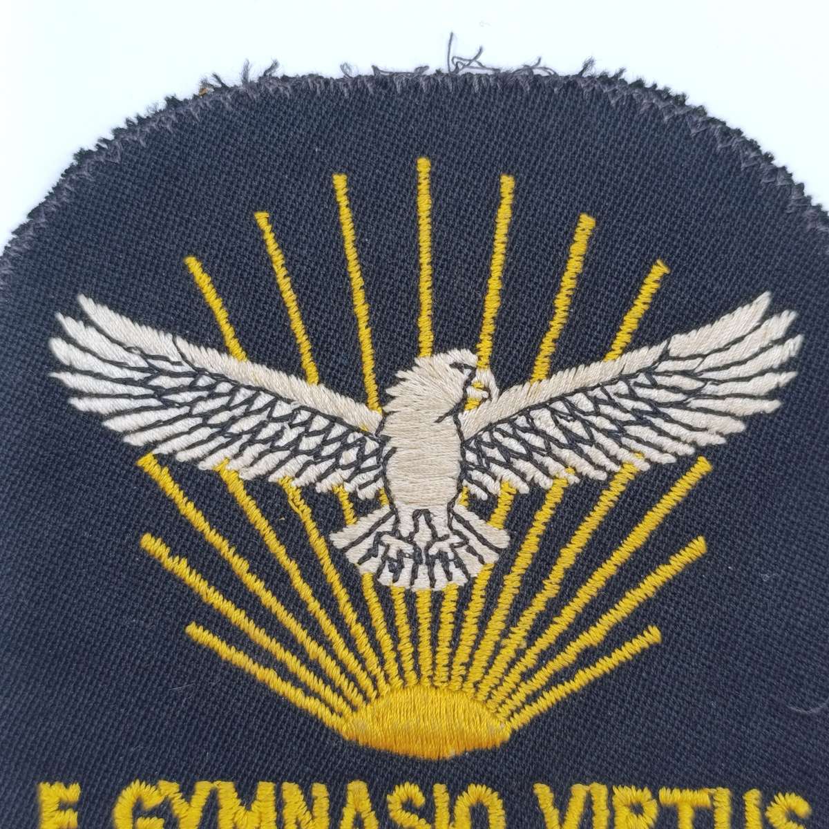 SA Air Force Gymnasium blazer badge