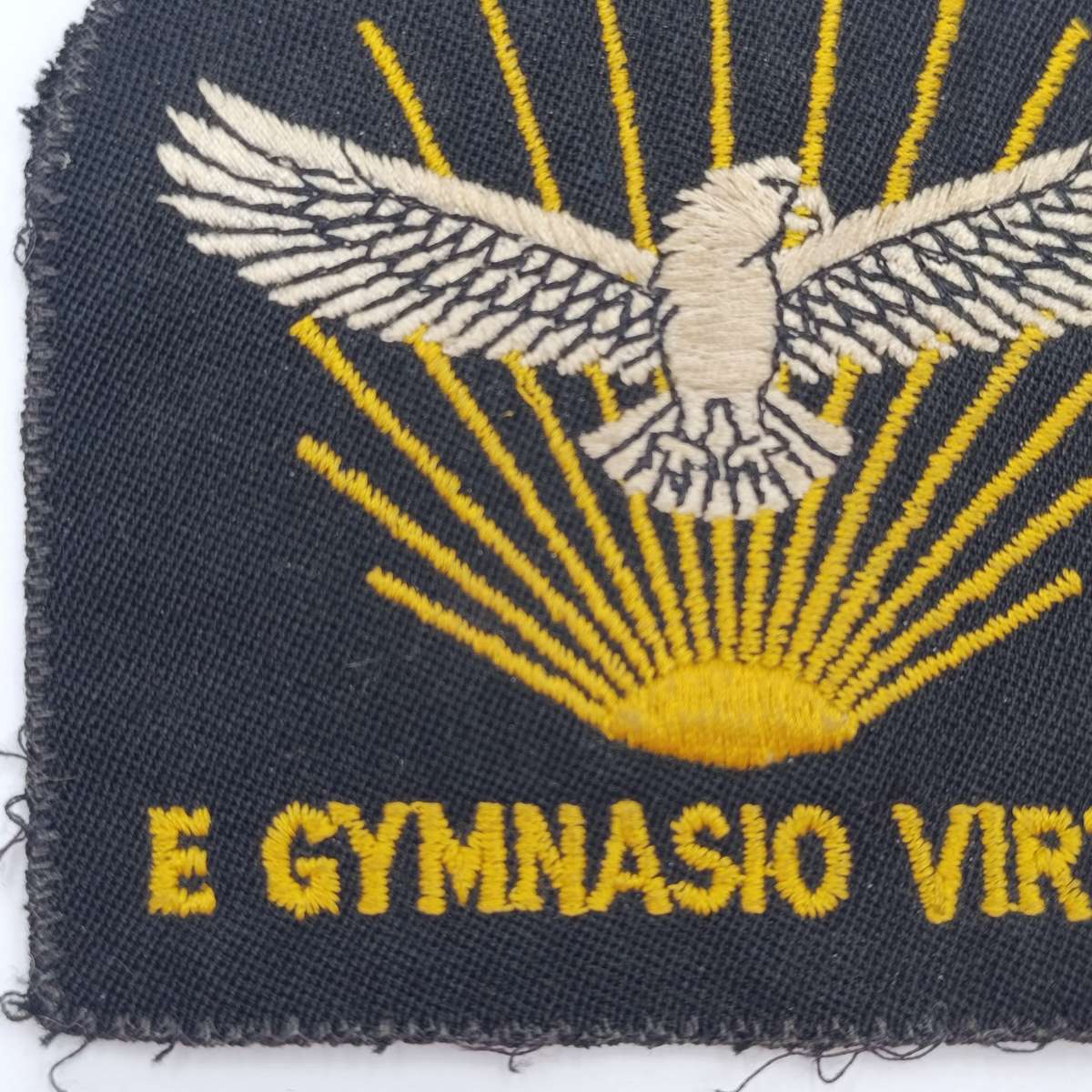 SA Air Force Gymnasium blazer badge