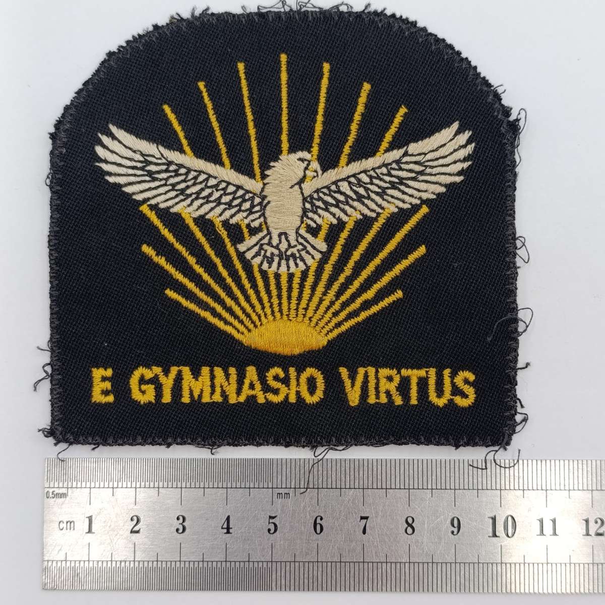 SA Air Force Gymnasium blazer badge
