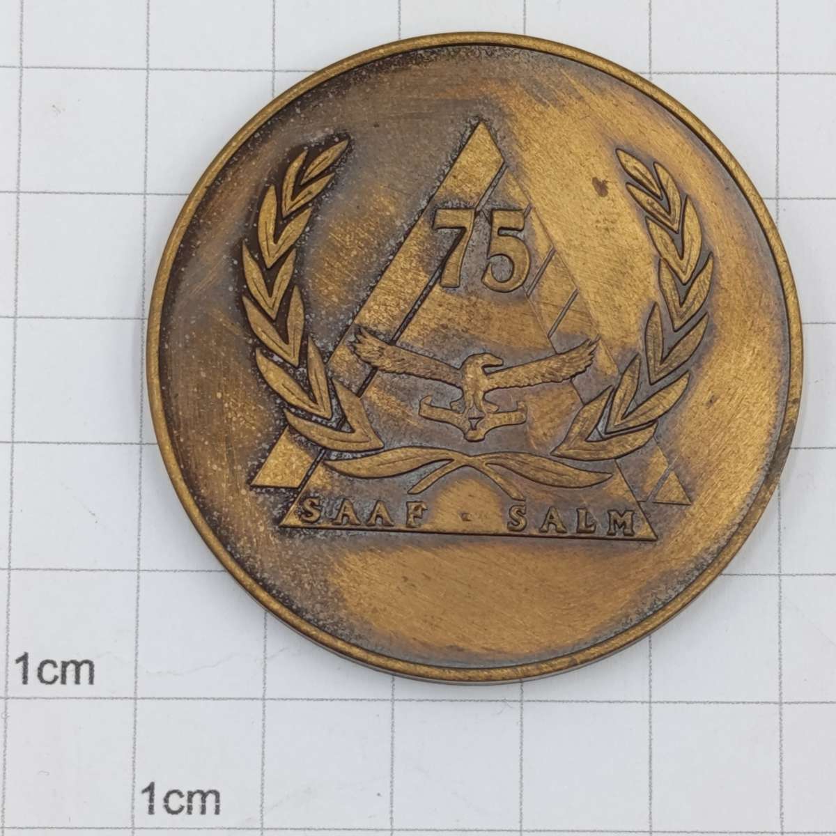 SAAF 75 years medallion 1995