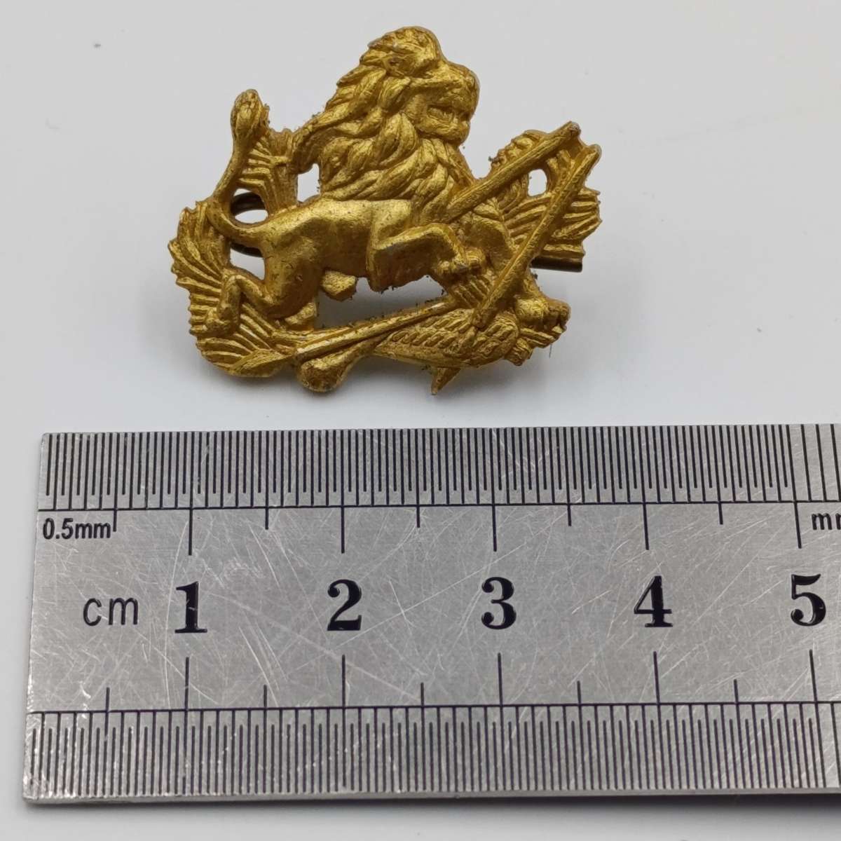 Pair of Rhodesian BSAP collar badges