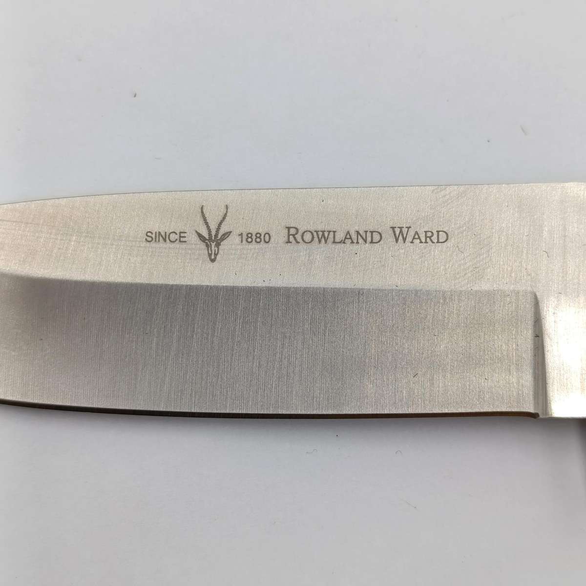 Rowland Ward Forest Hunter fixed blade dagger with leather sheath