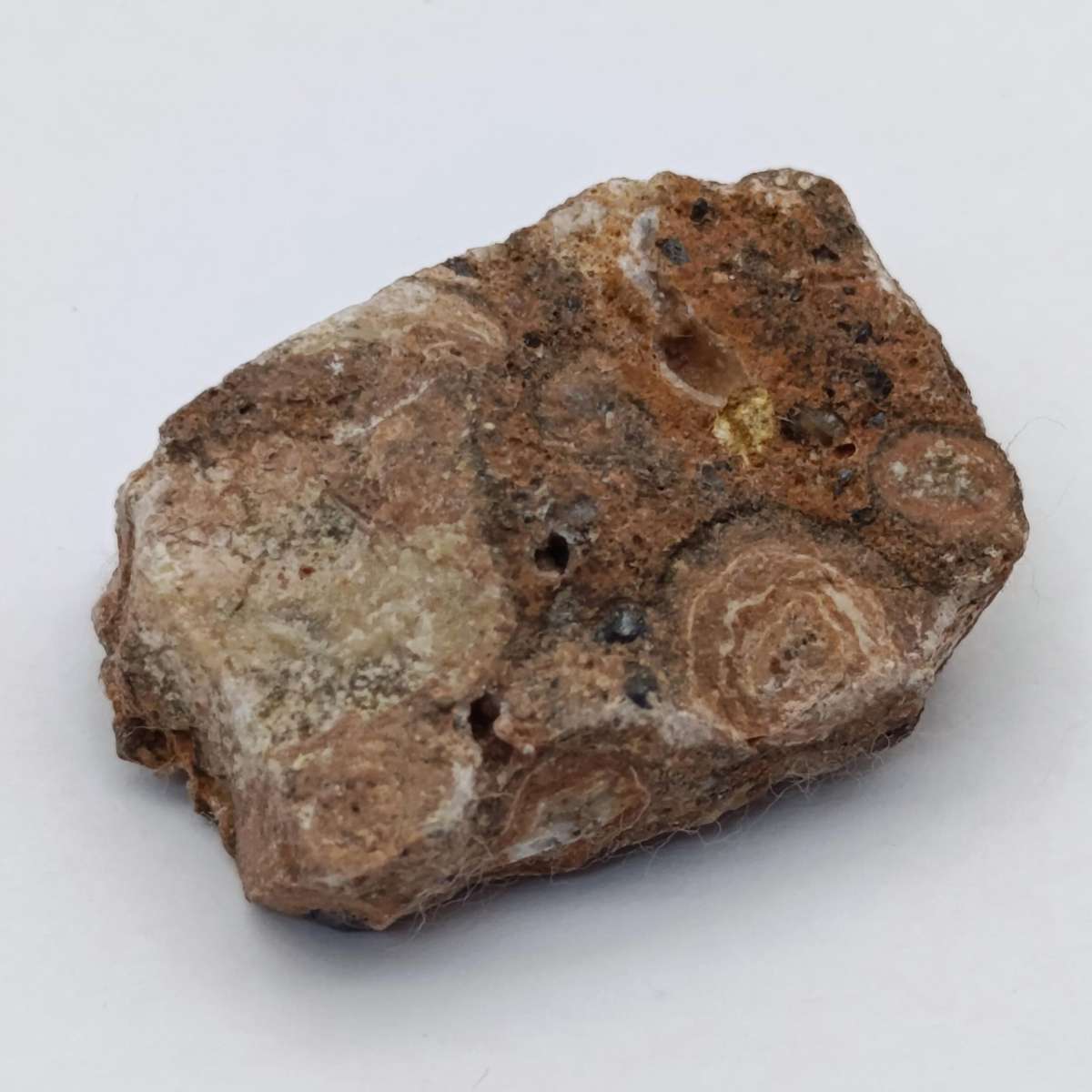 Set of 25 Zimbabwe Gemstones in box