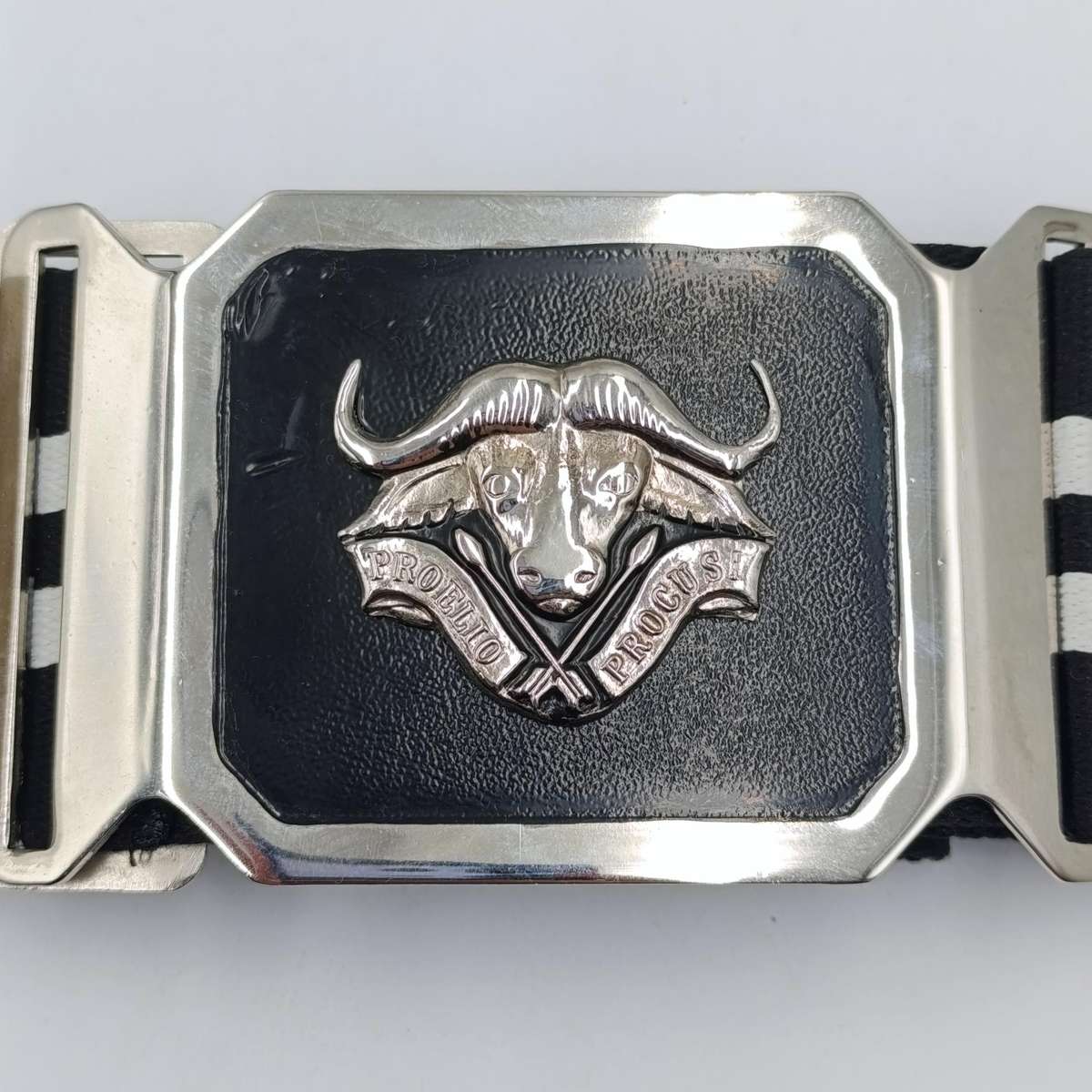 SADF 32 battalion stable belt