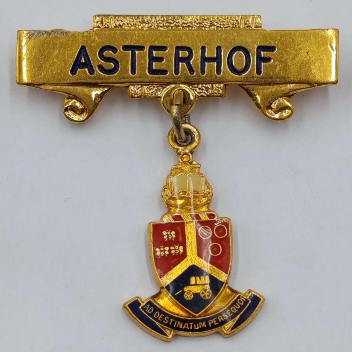 University of Pretoria vintage Asterhof brooch