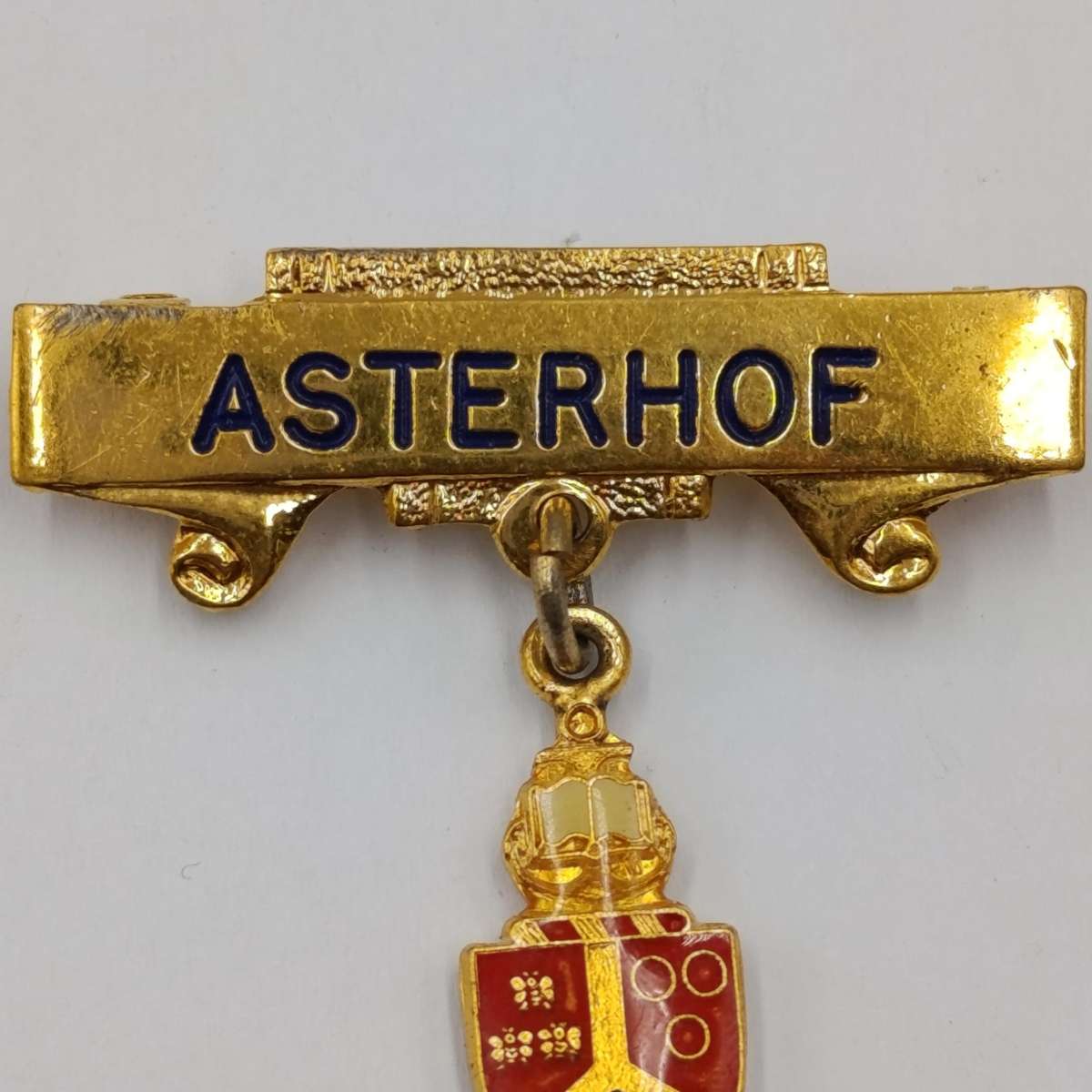 University of Pretoria vintage Asterhof brooch