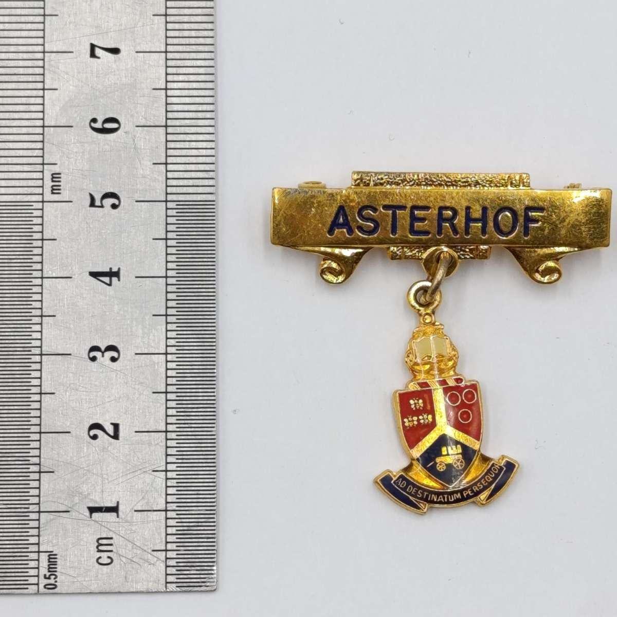 University of Pretoria vintage Asterhof brooch
