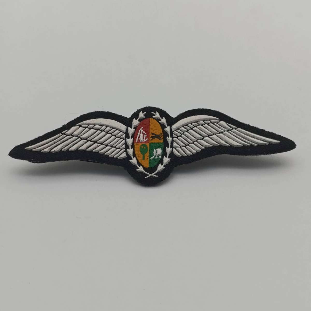SA Air Force Pilot wings - tupperware