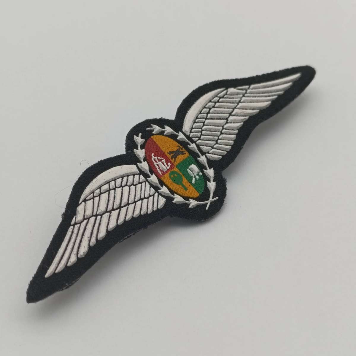 SA Air Force Pilot wings - tupperware