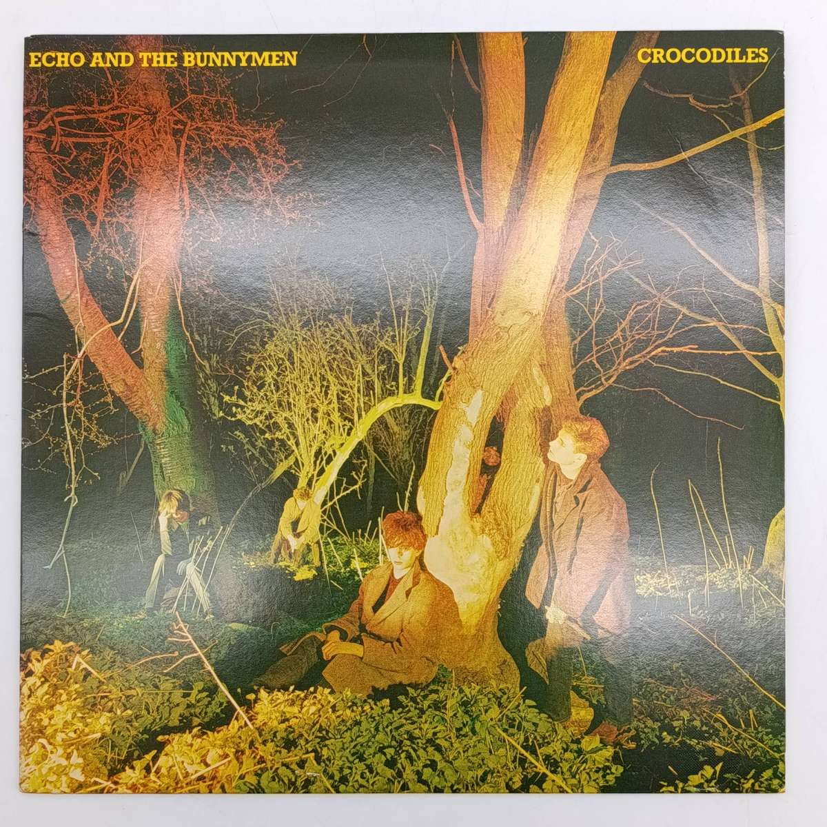 Record Echo And The Bunnymen - Crocodiles  Released 1980 United States  Media - Very Good Plus (VG+)