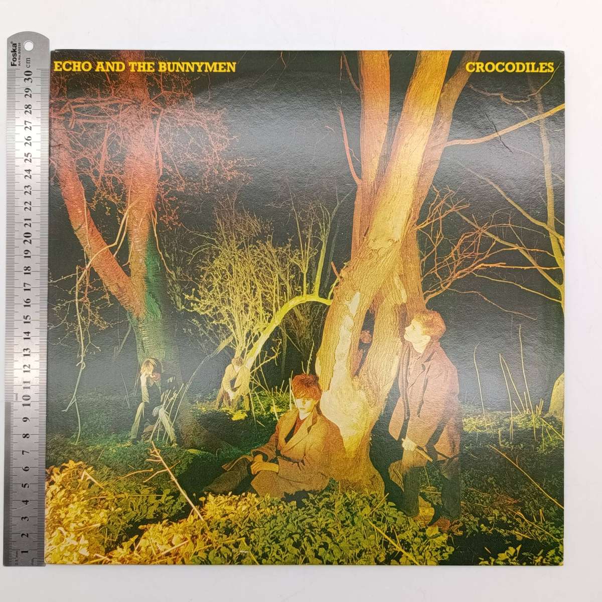 Record Echo And The Bunnymen - Crocodiles  Released 1980 United States  Media - Very Good Plus (VG+)