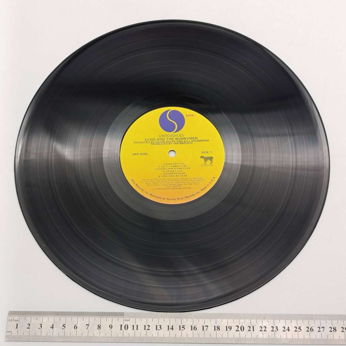 Record Echo And The Bunnymen - Crocodiles  Released 1980 United States  Media - Very Good Plus (VG+)