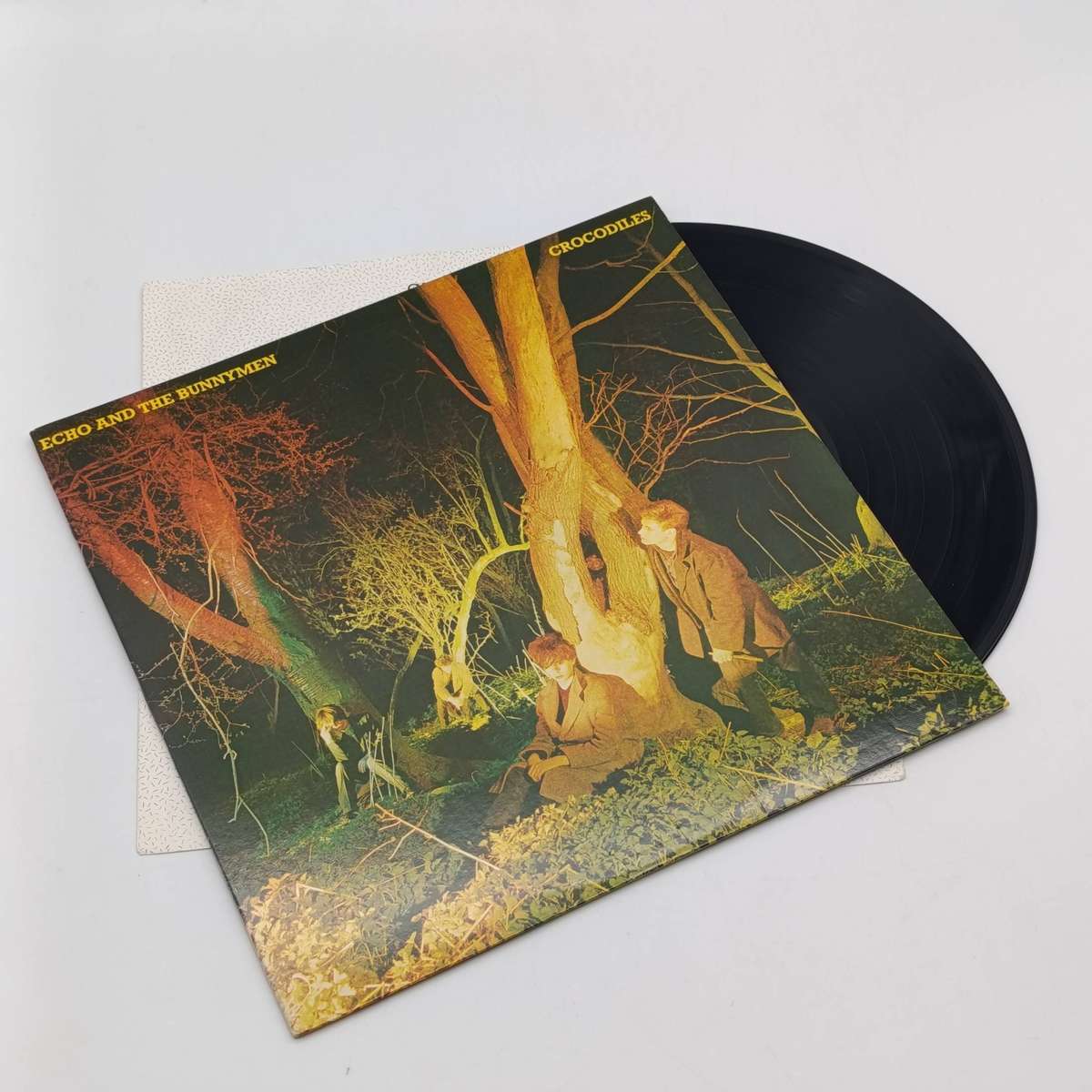 Record Echo And The Bunnymen - Crocodiles  Released 1980 United States  Media - Very Good Plus (VG+)