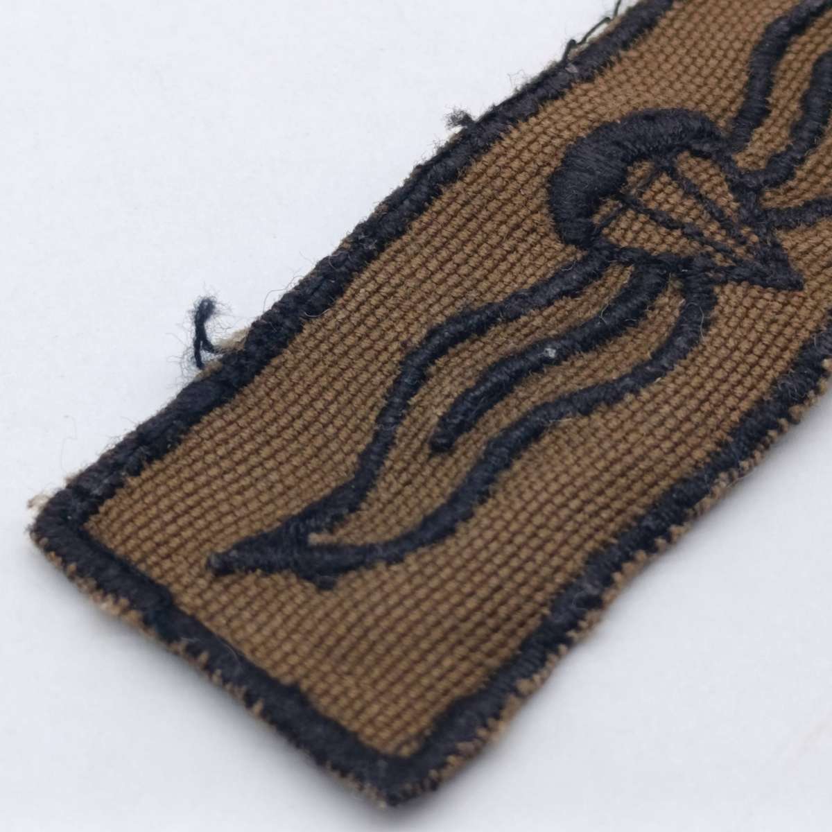 SADF Nutria basic paratrooper wing