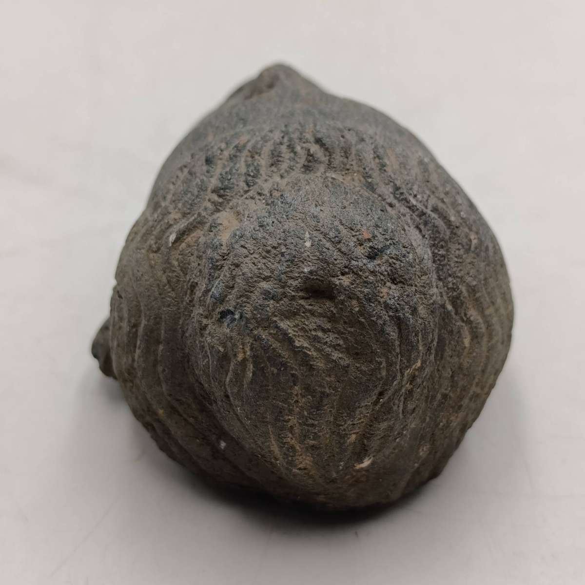 Ancient Gandhara Schist head buddah - Estimated at circa 6th century AD